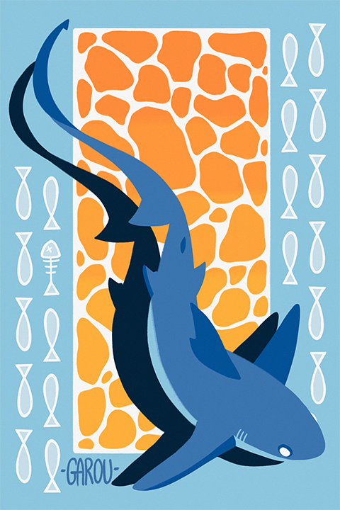 thresher shark thresher shark