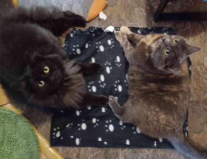 Mr Stamps and Gozer!!!